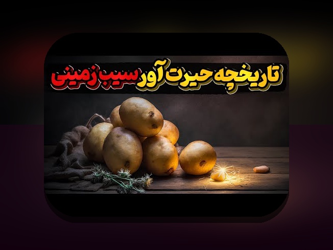 آیا می‌خواهید بدانید سیب تاپ چیست و چگونه در سایت شرط بندی نقش دارد؟